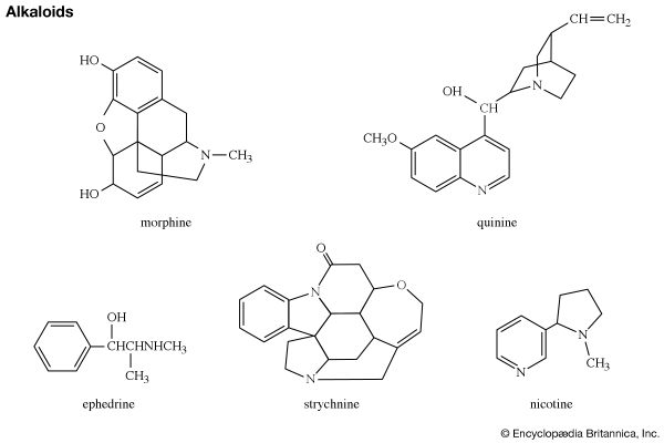 Struktur alkaloid 
